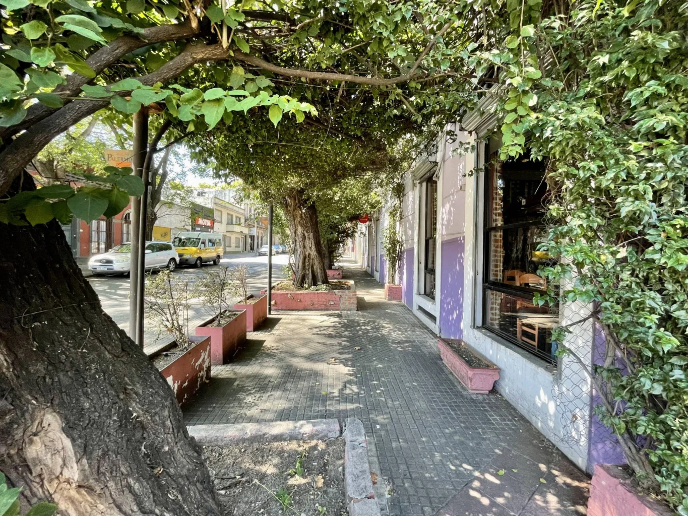 Local en Aguada, propiedad 71291 -Imagen 13