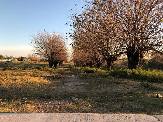 imagen  de la propiedad 287145