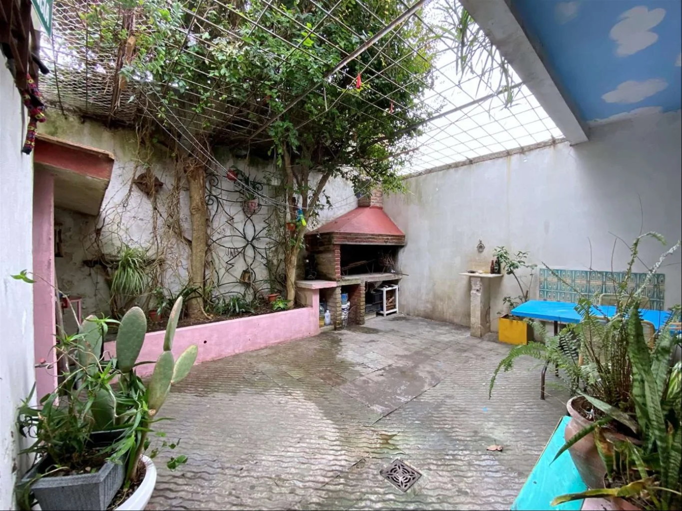 Casa en Reducto, propiedad 291343 -Imagen 14