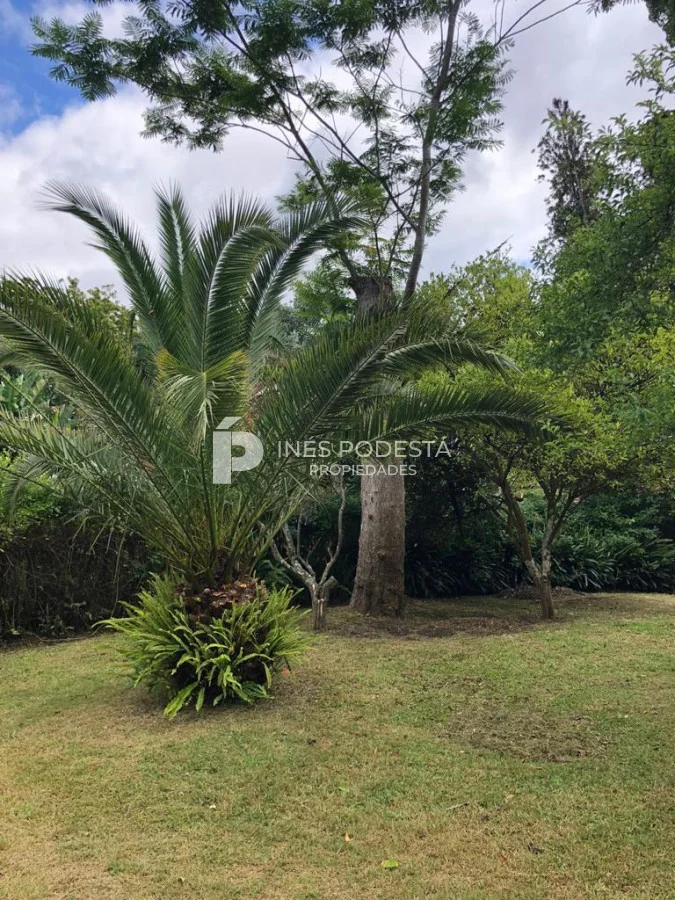 Casa en Golf, propiedad 217616 -Imagen 18