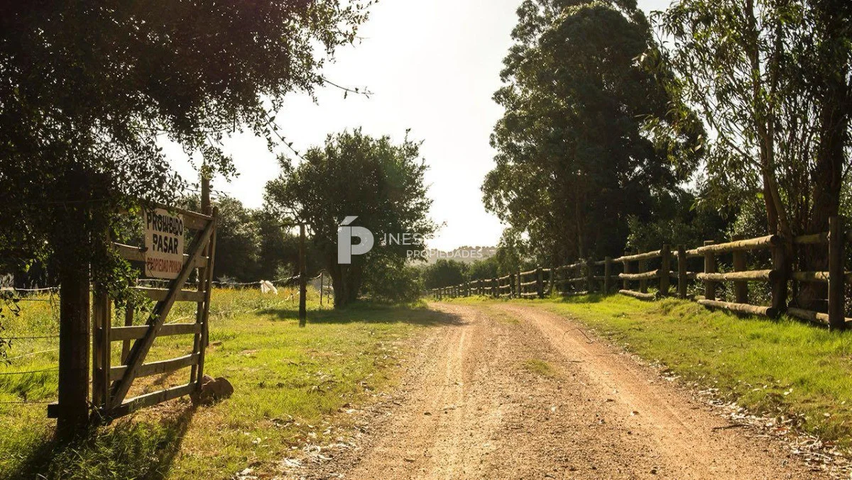 Chacra en Punta Ballena, propiedad 217636 -Imagen 1