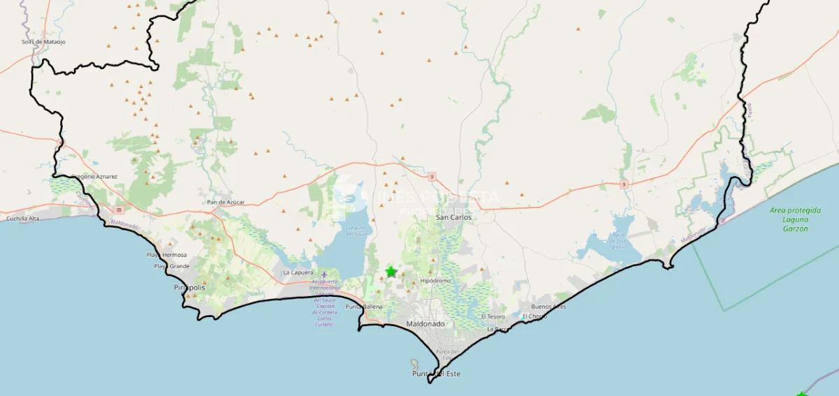 Chacra en Punta Ballena, propiedad 217636 -Imagen 4