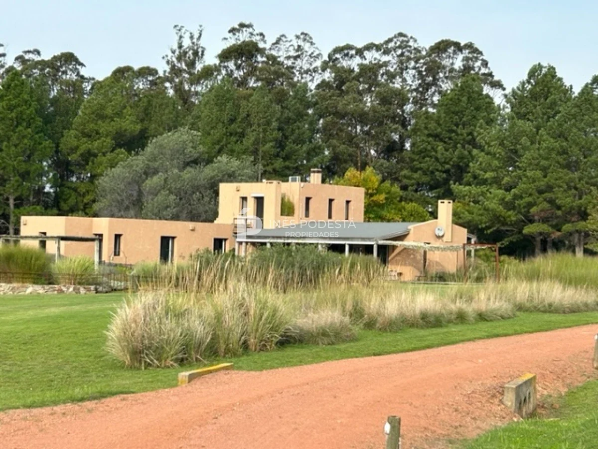 Chacra en Punta Ballena, propiedad 217722 -Imagen 1