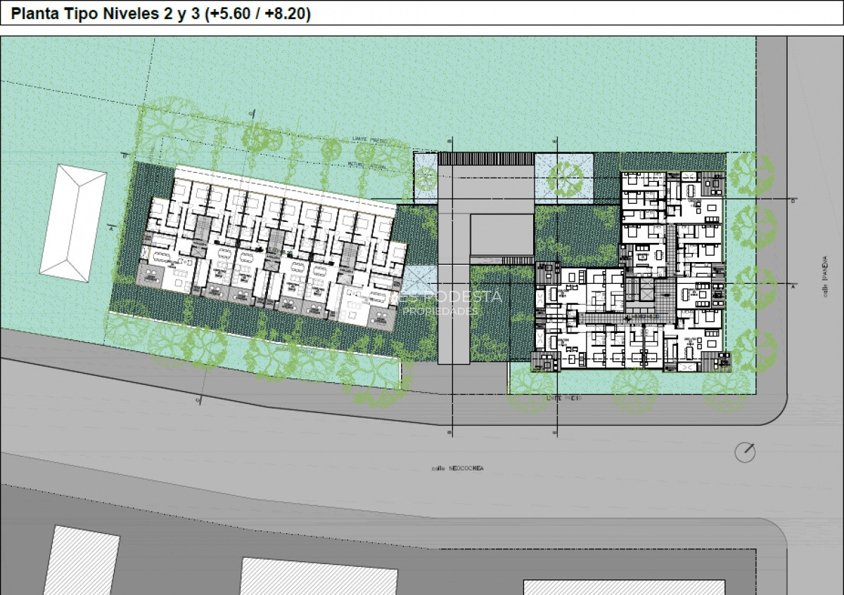 Apartamento en San Rafael, propiedad 217784 -Imagen 12