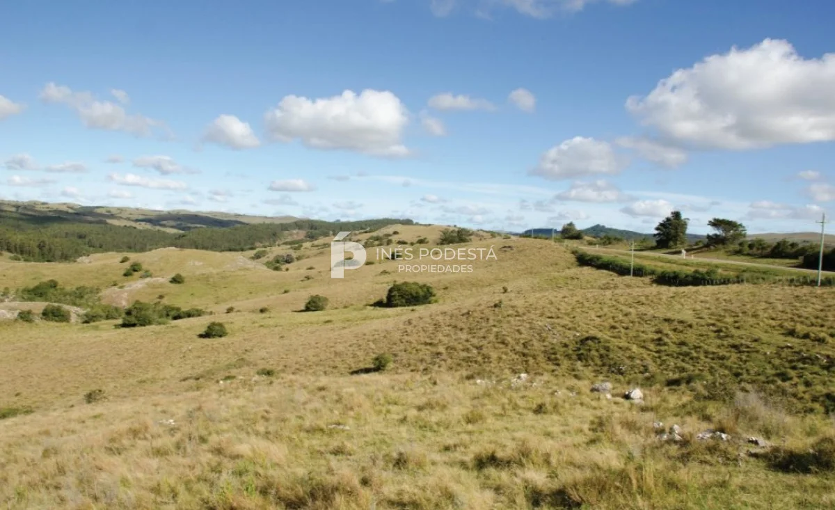 Chacra en Minas, propiedad 261737 -Imagen 18
