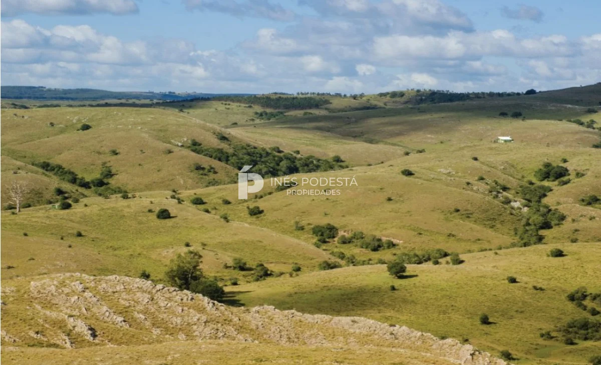 Chacra en Minas, propiedad 261737 -Imagen 19