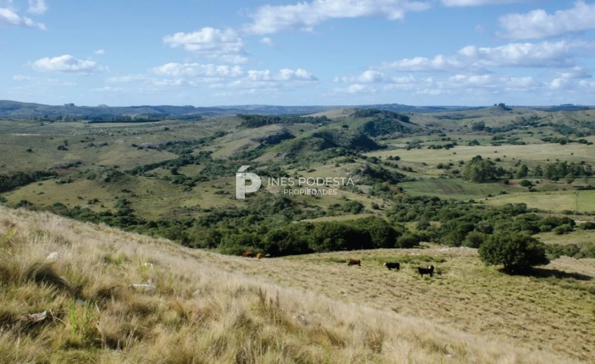 Chacra en Minas, propiedad 261737 -Imagen 21