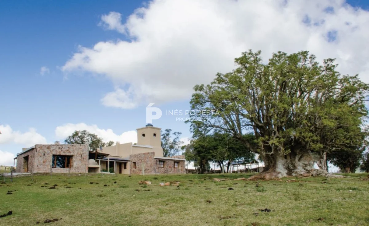 Chacra en Minas, propiedad 261737 -Imagen 4