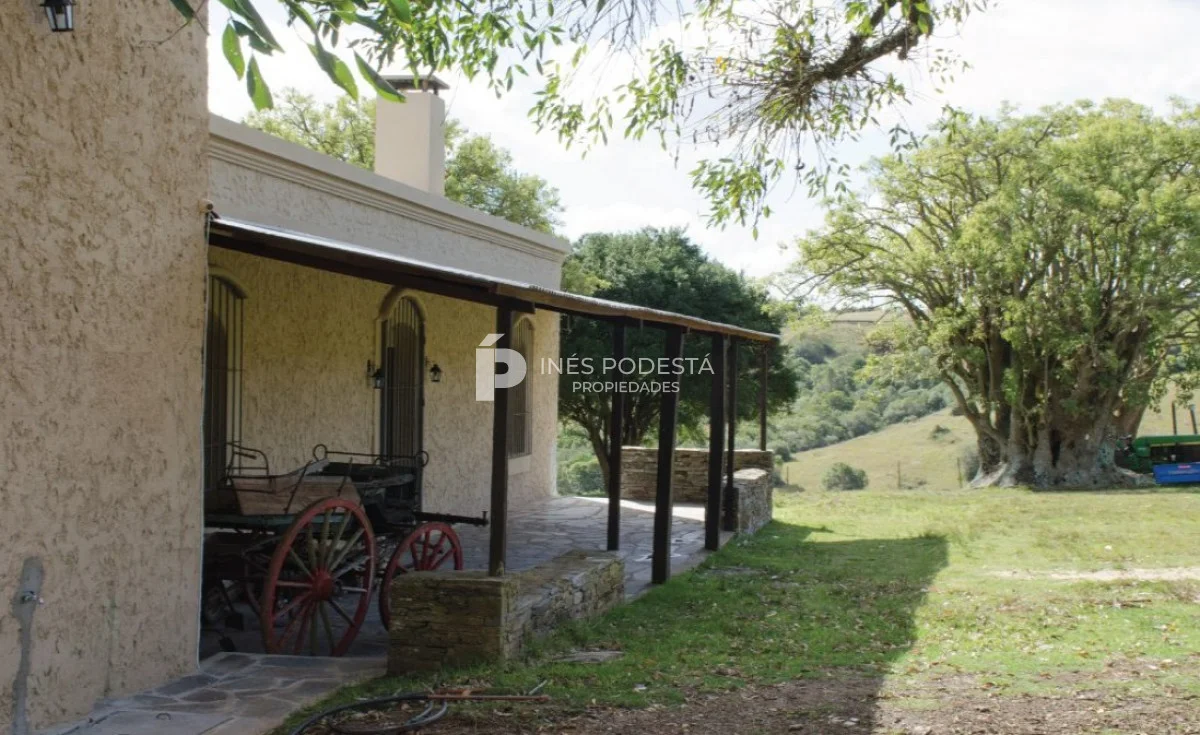 Chacra en Minas, propiedad 261737 -Imagen 9