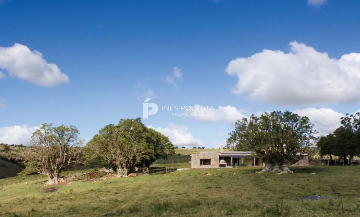 Chacra en Minas, propiedad 261737 -Imagen 10