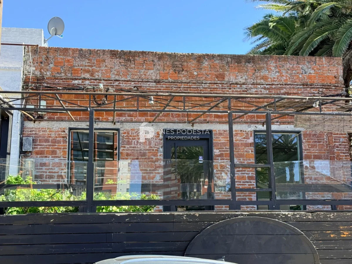 Local en Península, propiedad 286757 -Imagen 1