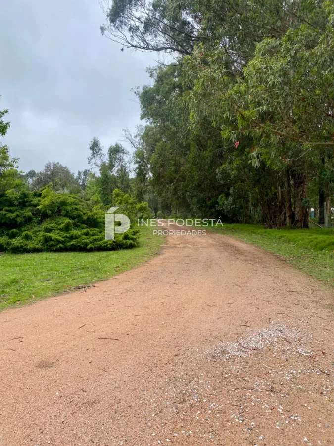 Casa en Punta Ballena, propiedad 300837 -Imagen 18