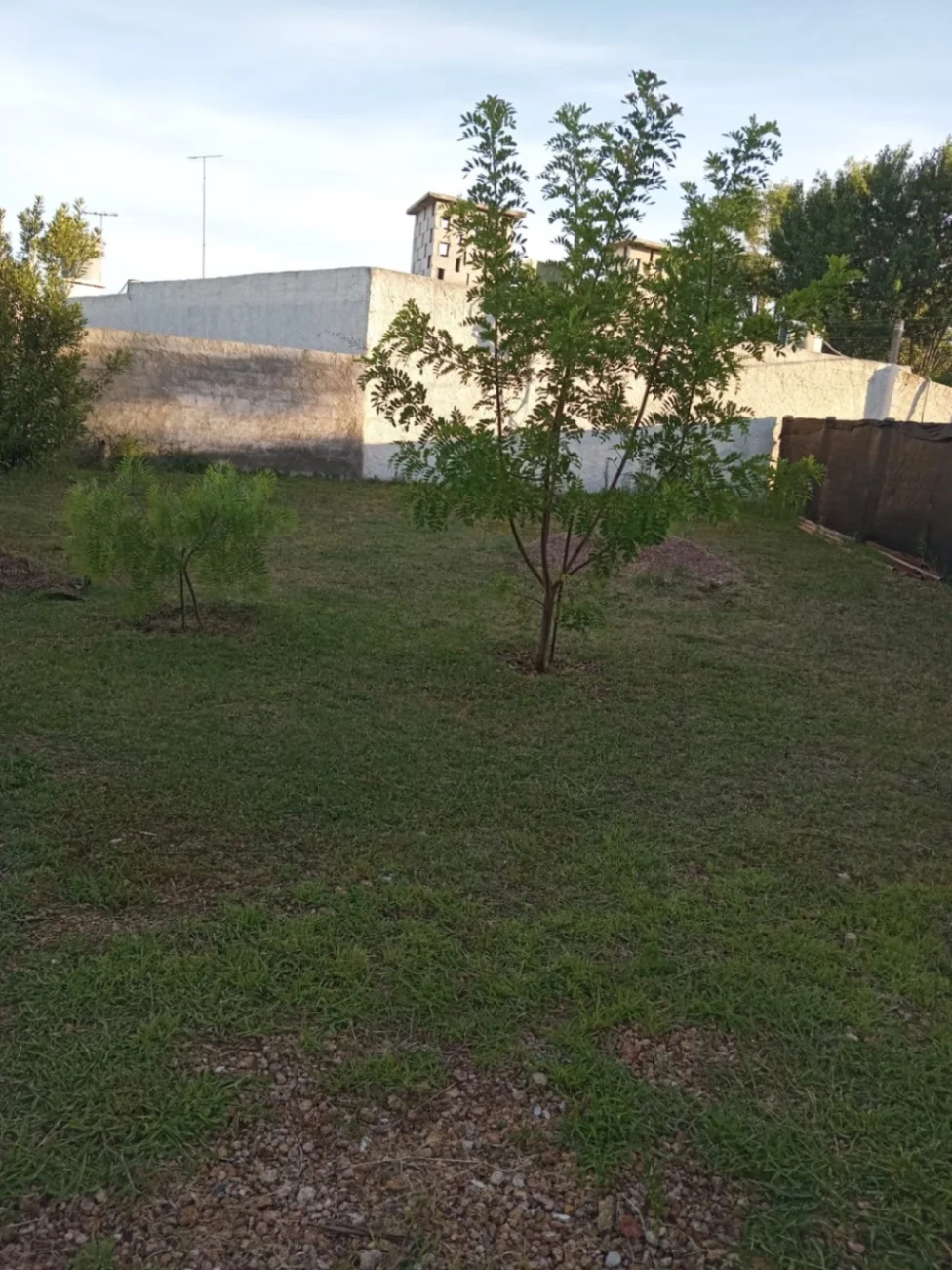 Casa en San Luis, propiedad 245833 -Imagen 5