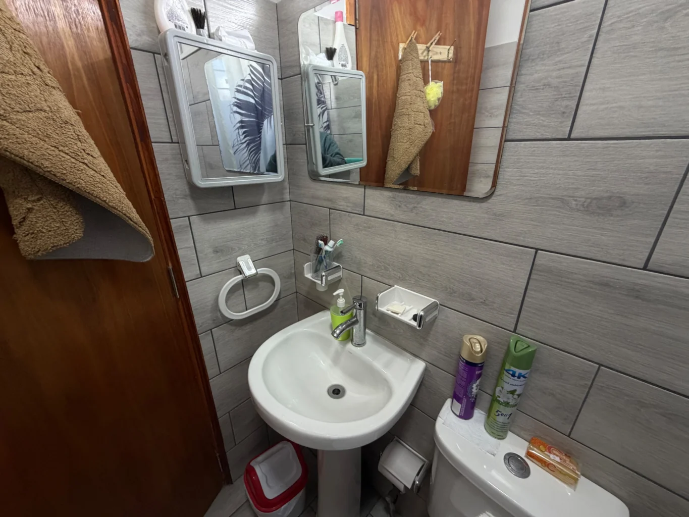 Casa en San Luis, propiedad 245833 -Imagen 8