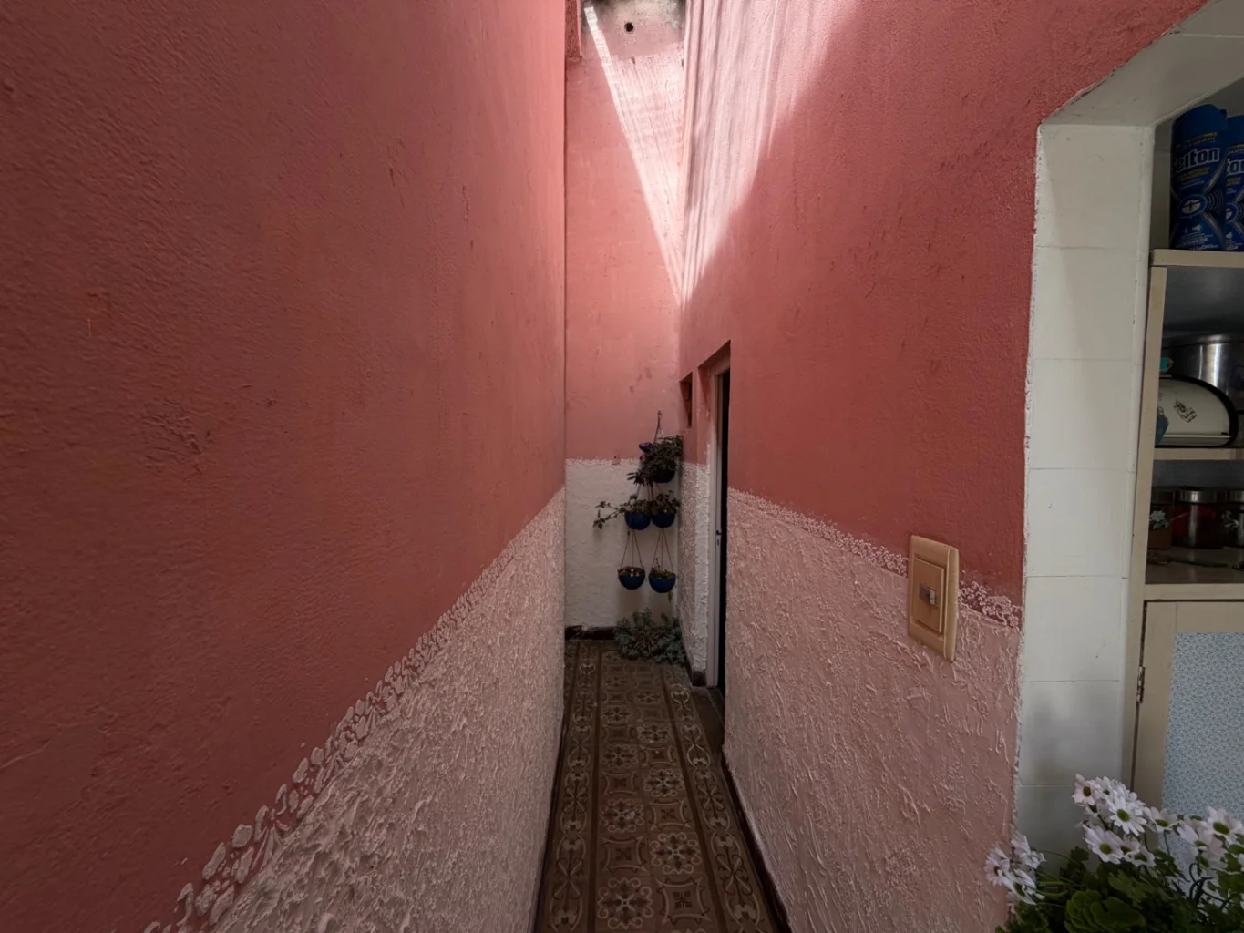 Casa en Tres Cruces, propiedad 254195 -Imagen 16