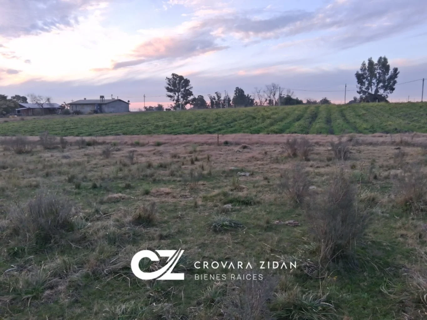 Chacra en Tala, propiedad 276239 -Imagen 12