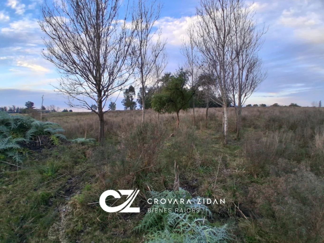 Chacra en Tala, propiedad 276239 -Imagen 14