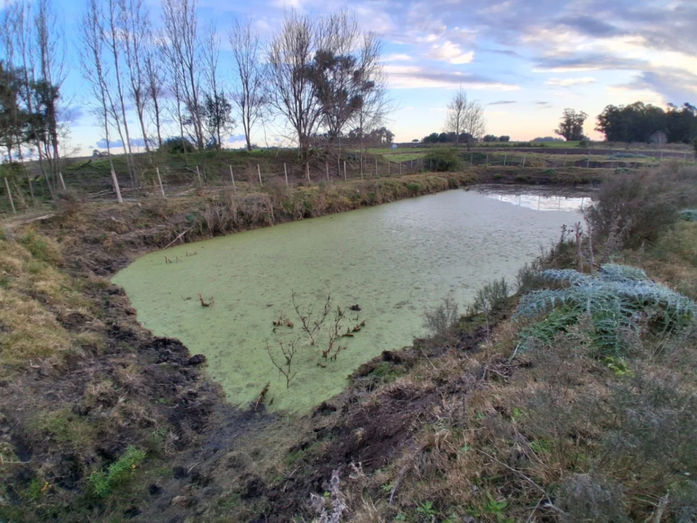 Chacra en Tala, propiedad 276239 -Imagen 18