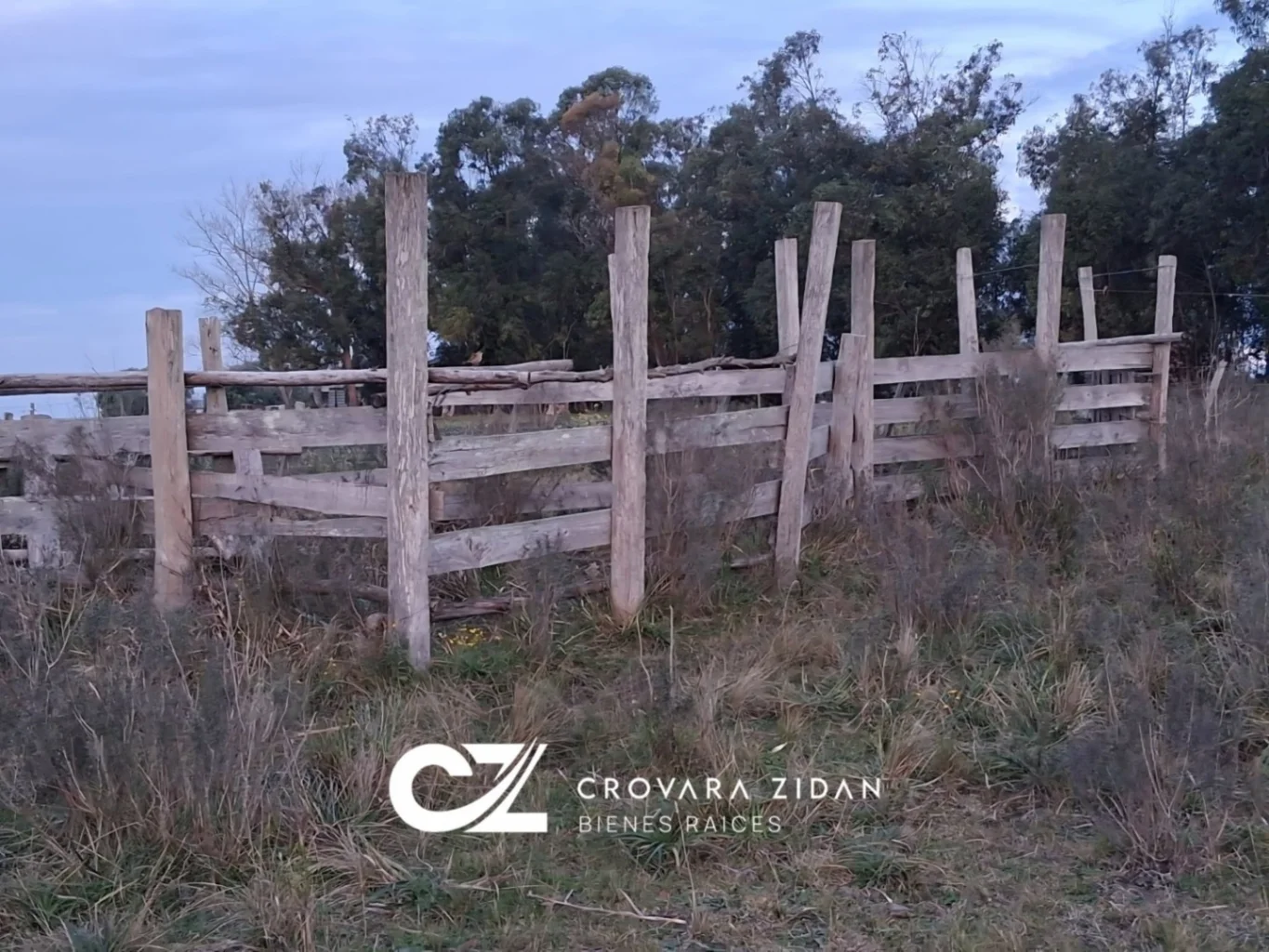 Chacra en Tala, propiedad 276239 -Imagen 20