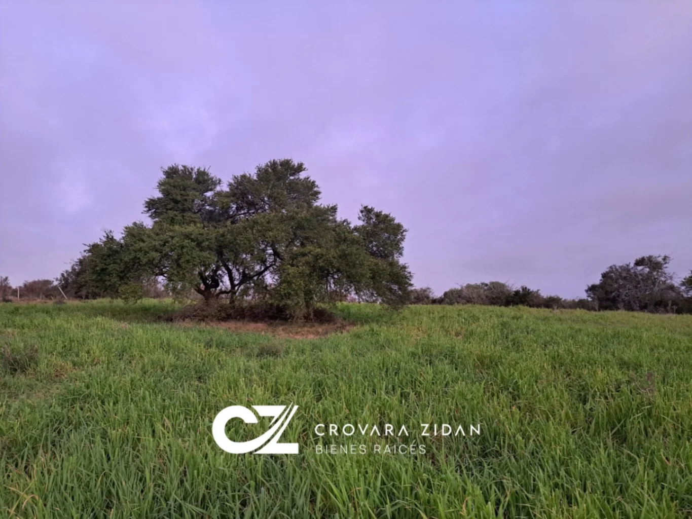 Campo en Migues, propiedad 276916 -Imagen 1