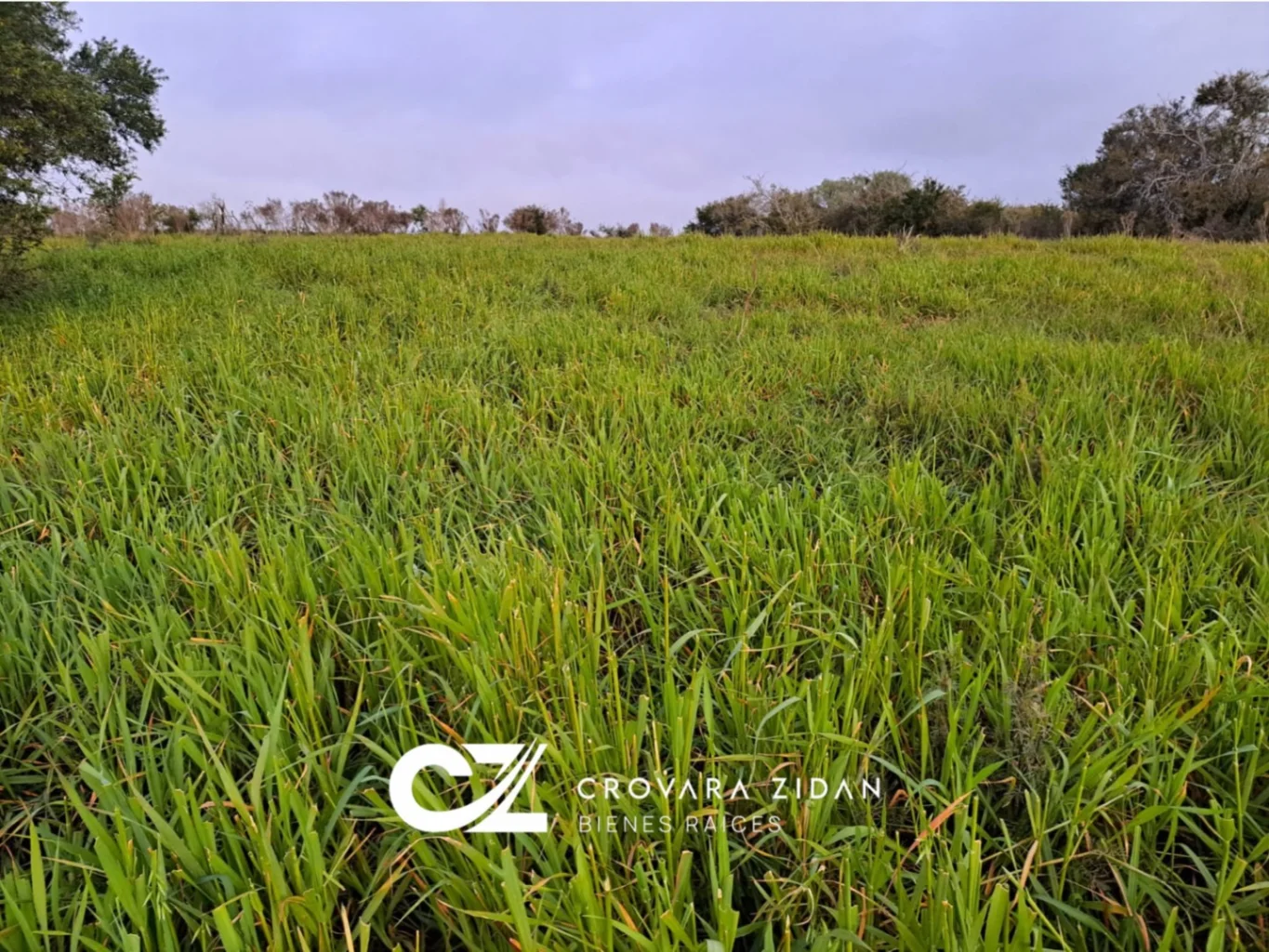 Campo en Migues, propiedad 276916 -Imagen 13