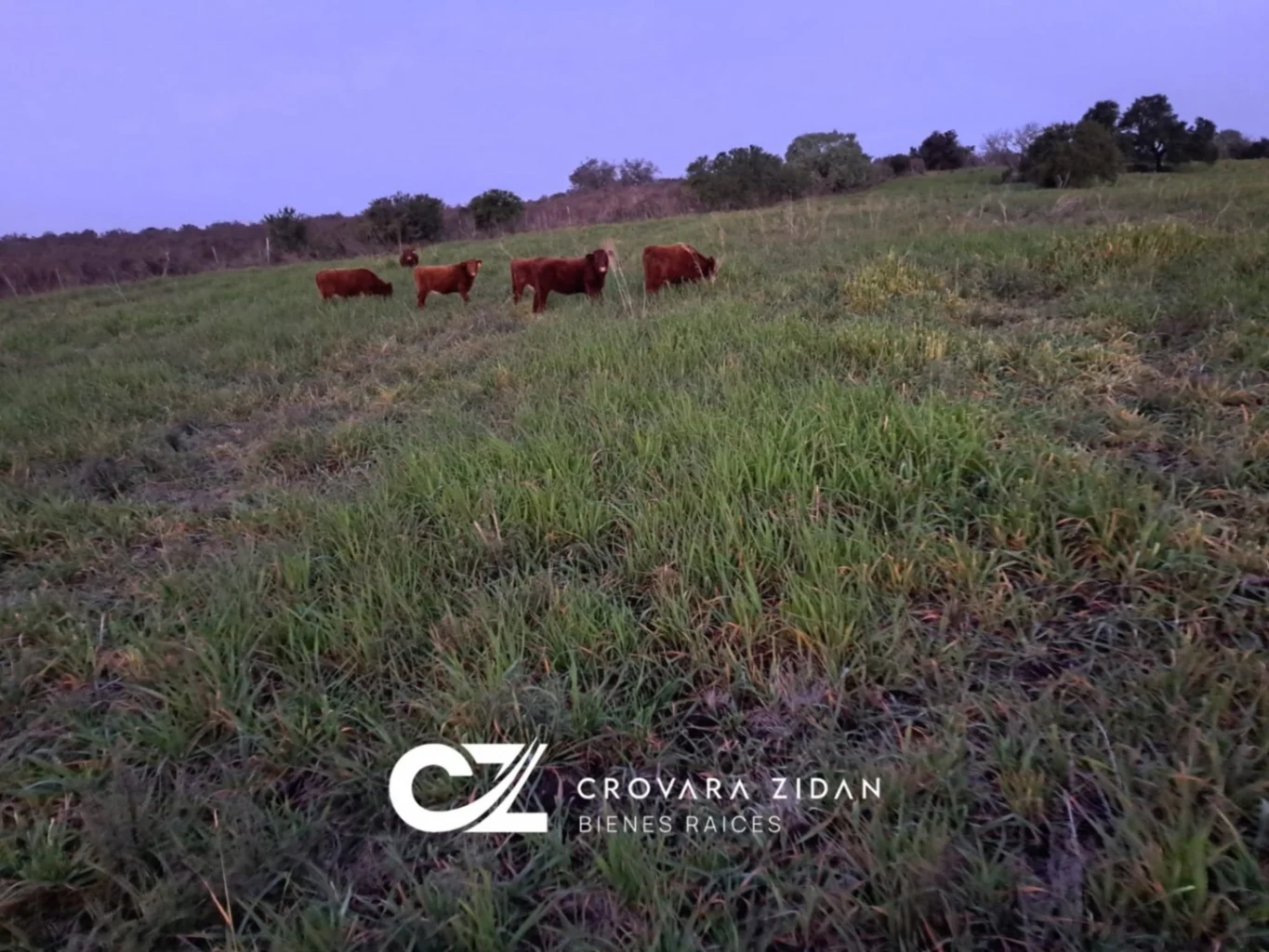 Campo en Migues, propiedad 276916 -Imagen 17