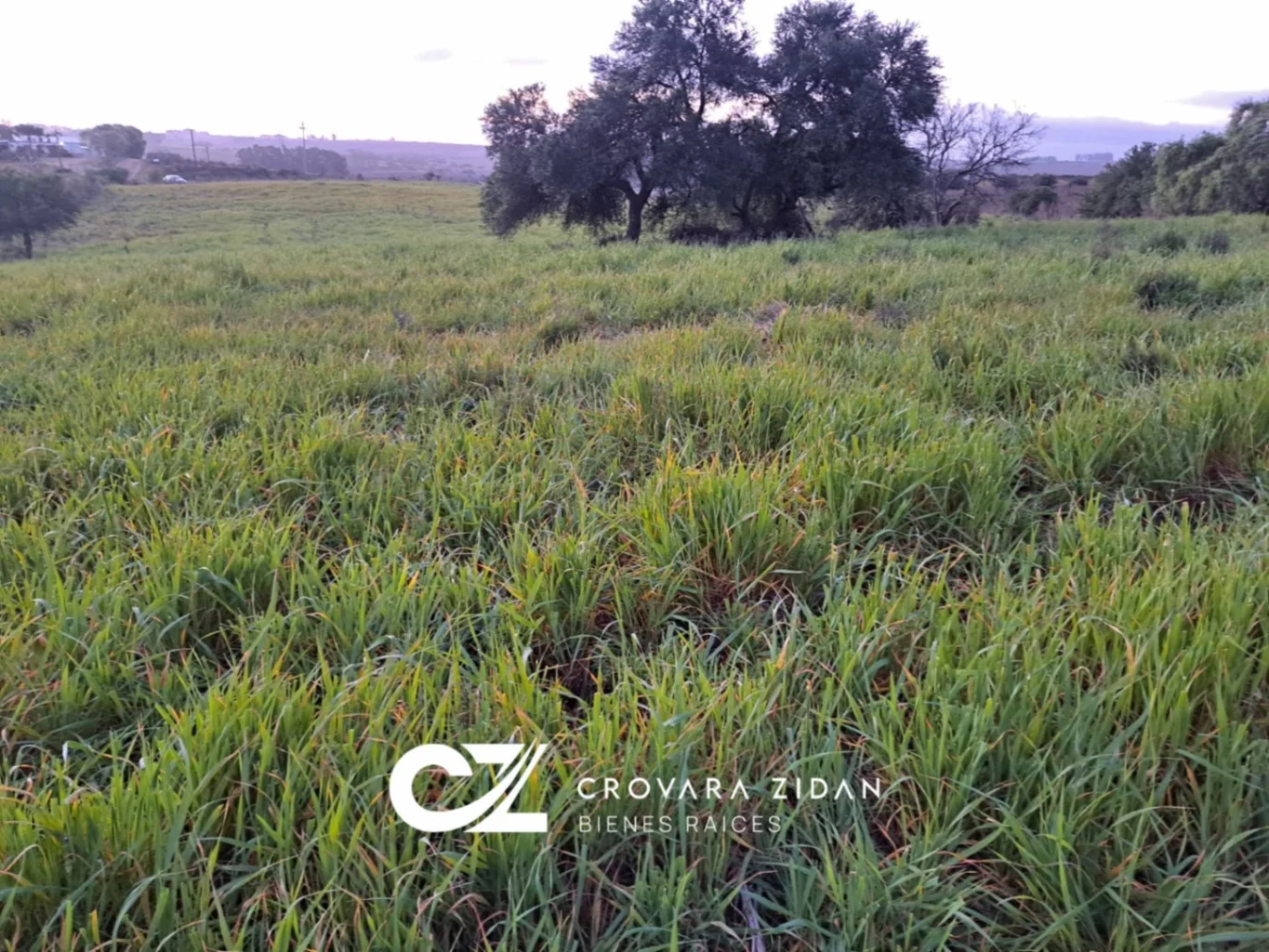 Campo en Migues, propiedad 276916 -Imagen 3