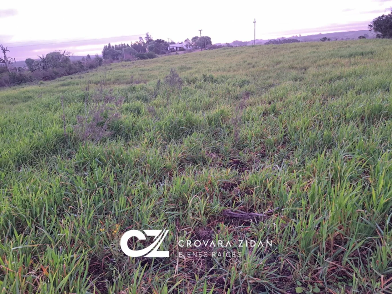 Campo en Migues, propiedad 276916 -Imagen 21