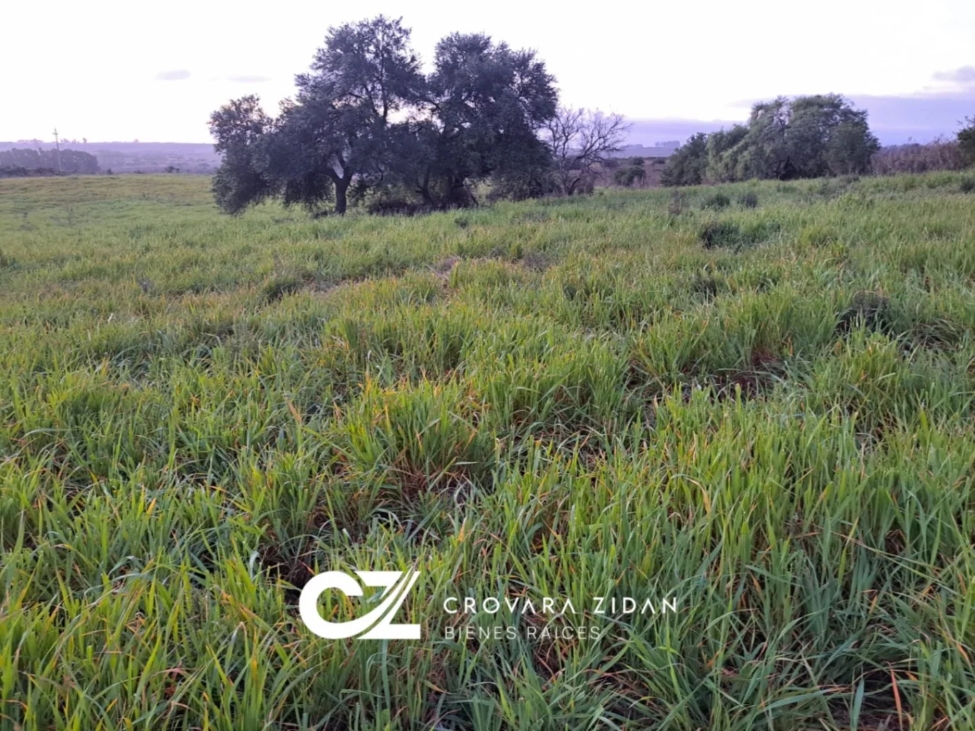 Campo en Migues, propiedad 276916 -Imagen 22
