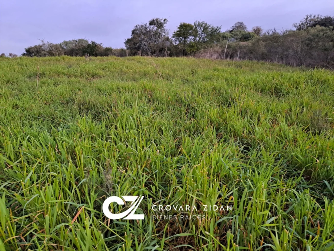 Campo en Migues, propiedad 276916 -Imagen 24