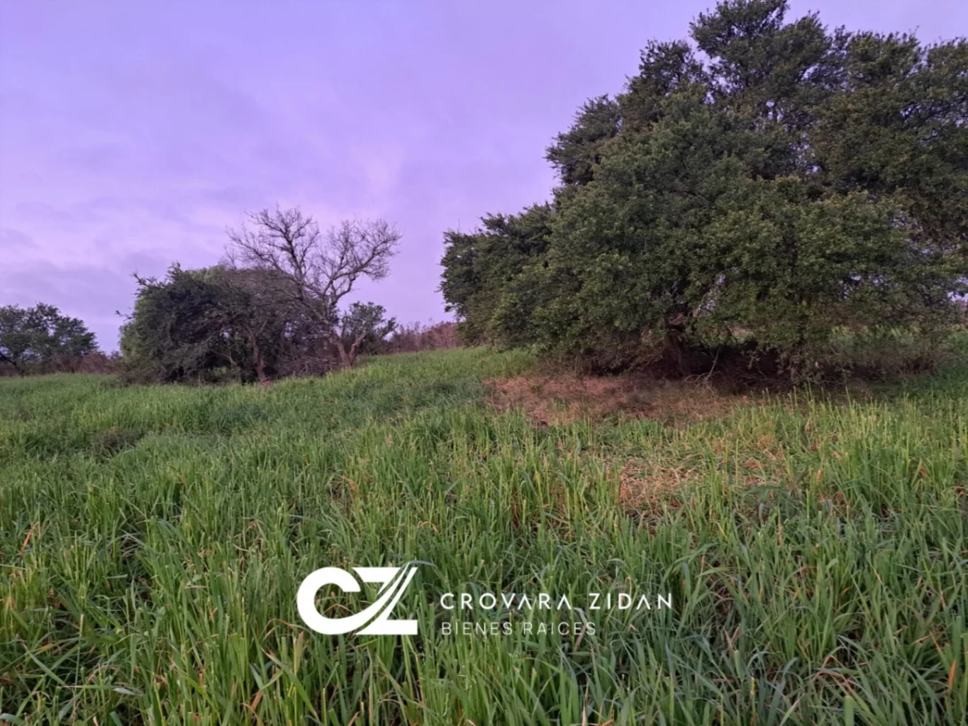 Campo en Migues, propiedad 276916 -Imagen 4