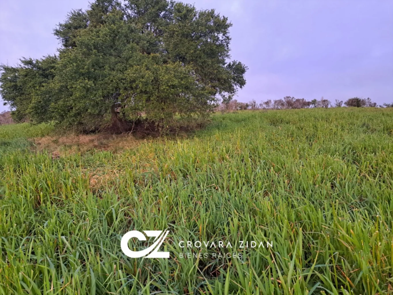 Campo en Migues, propiedad 276916 -Imagen 5