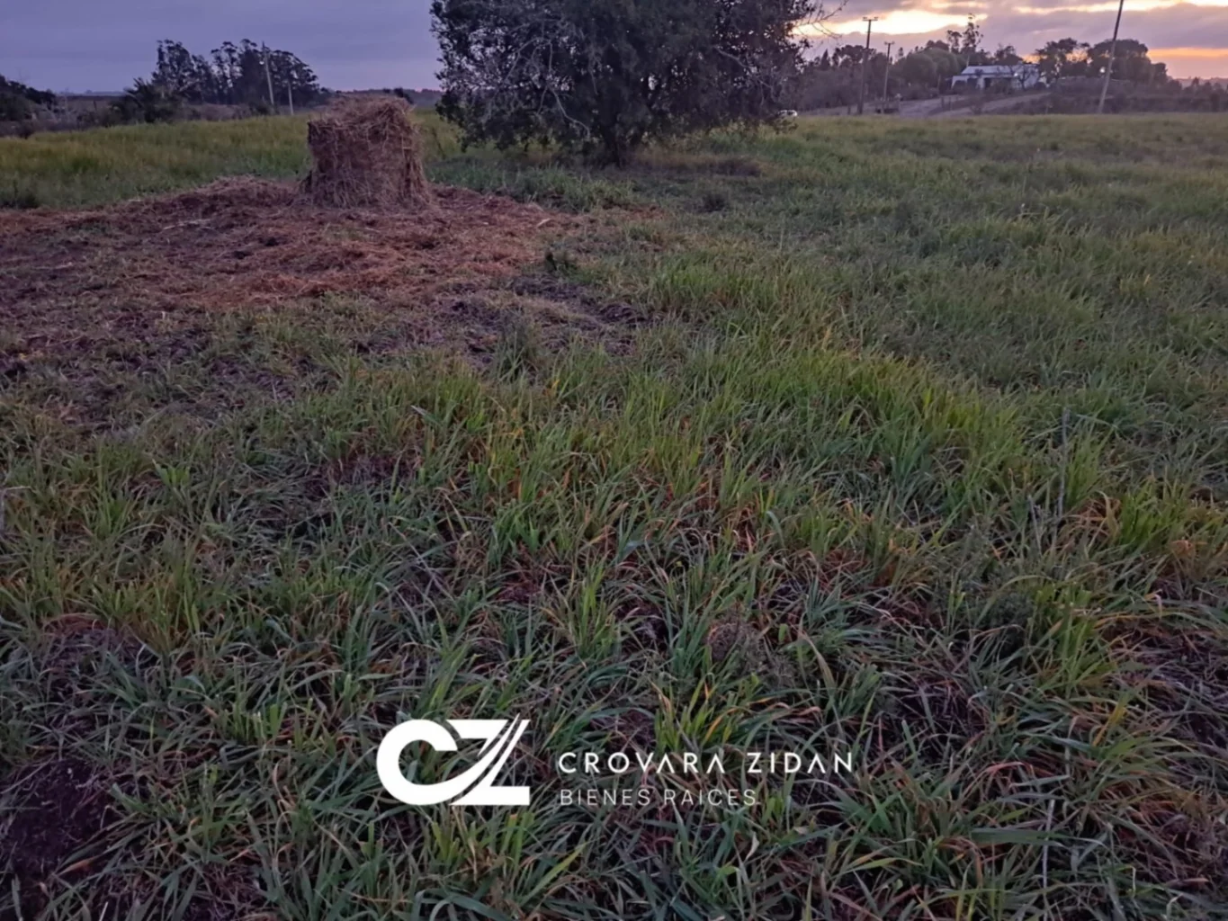 Campo en Migues, propiedad 276916 -Imagen 6