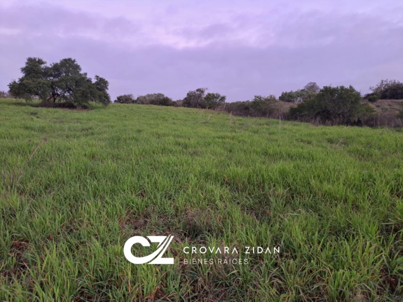 Campo en Migues, propiedad 276916 -Imagen 7