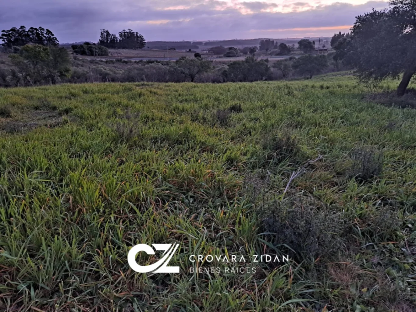 Campo en Migues, propiedad 276916 -Imagen 8