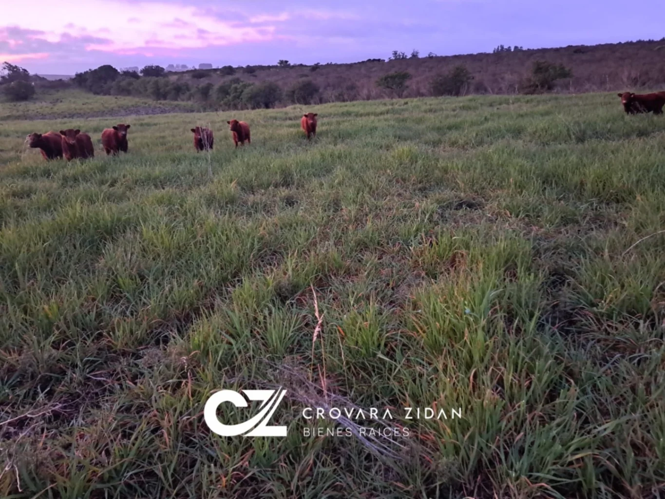 Campo en Migues, propiedad 276916 -Imagen 9