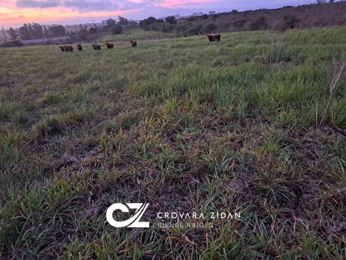 Campo en Migues, propiedad 276916 -Imagen 10