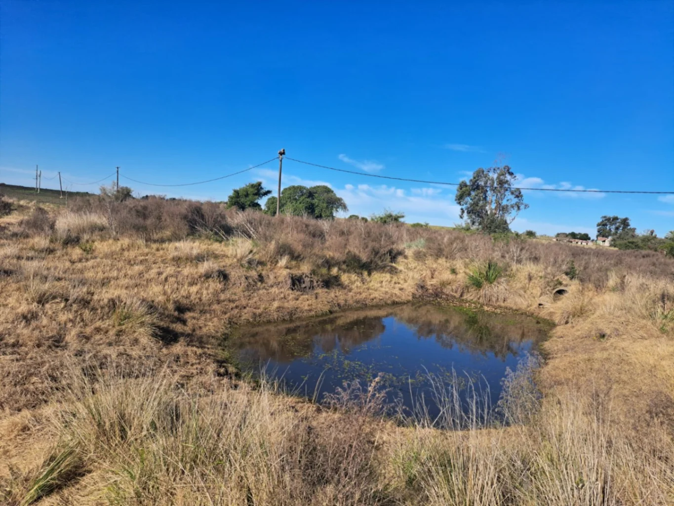 Chacra en Santa Rosa, propiedad 277217 -Imagen 16