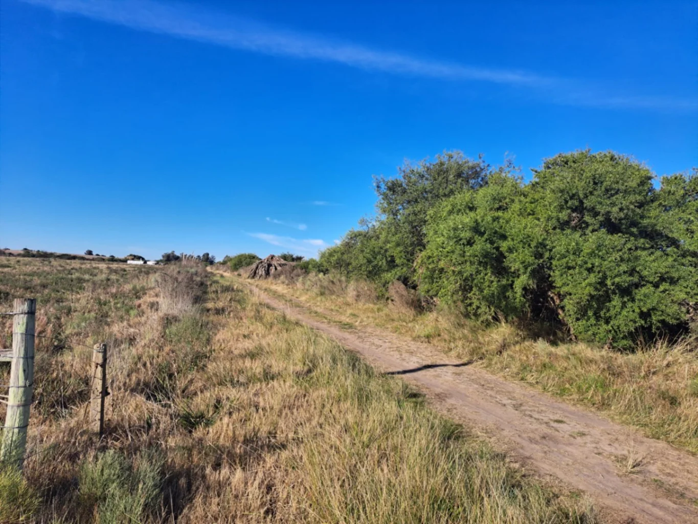 Chacra en Santa Rosa, propiedad 277217 -Imagen 20