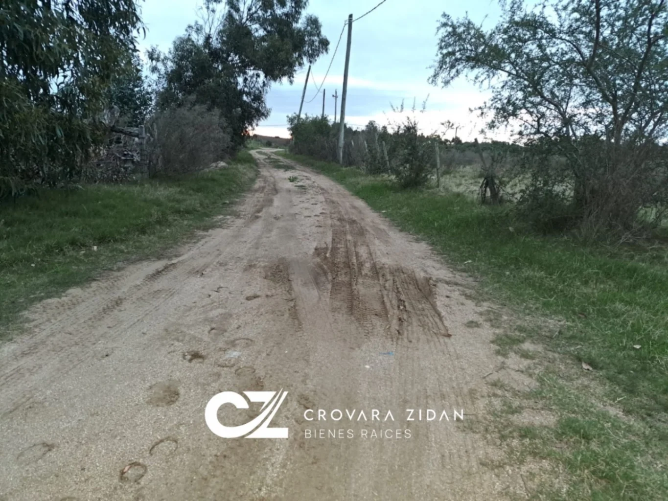 Campo en Migues, propiedad 283380 -Imagen 2