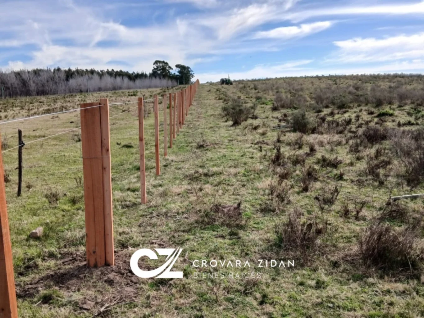 Campo en Migues, propiedad 283380 -Imagen 11