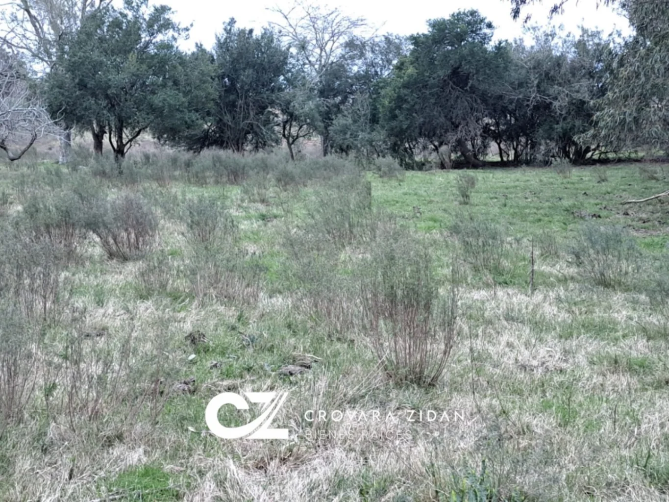 Campo en Migues, propiedad 283380 -Imagen 16