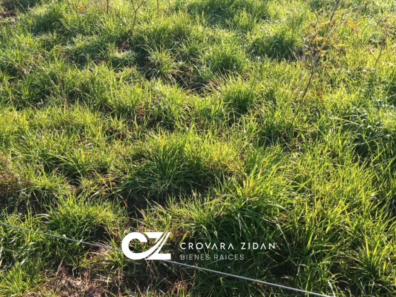 Campo en Migues, propiedad 283380 -Imagen 17