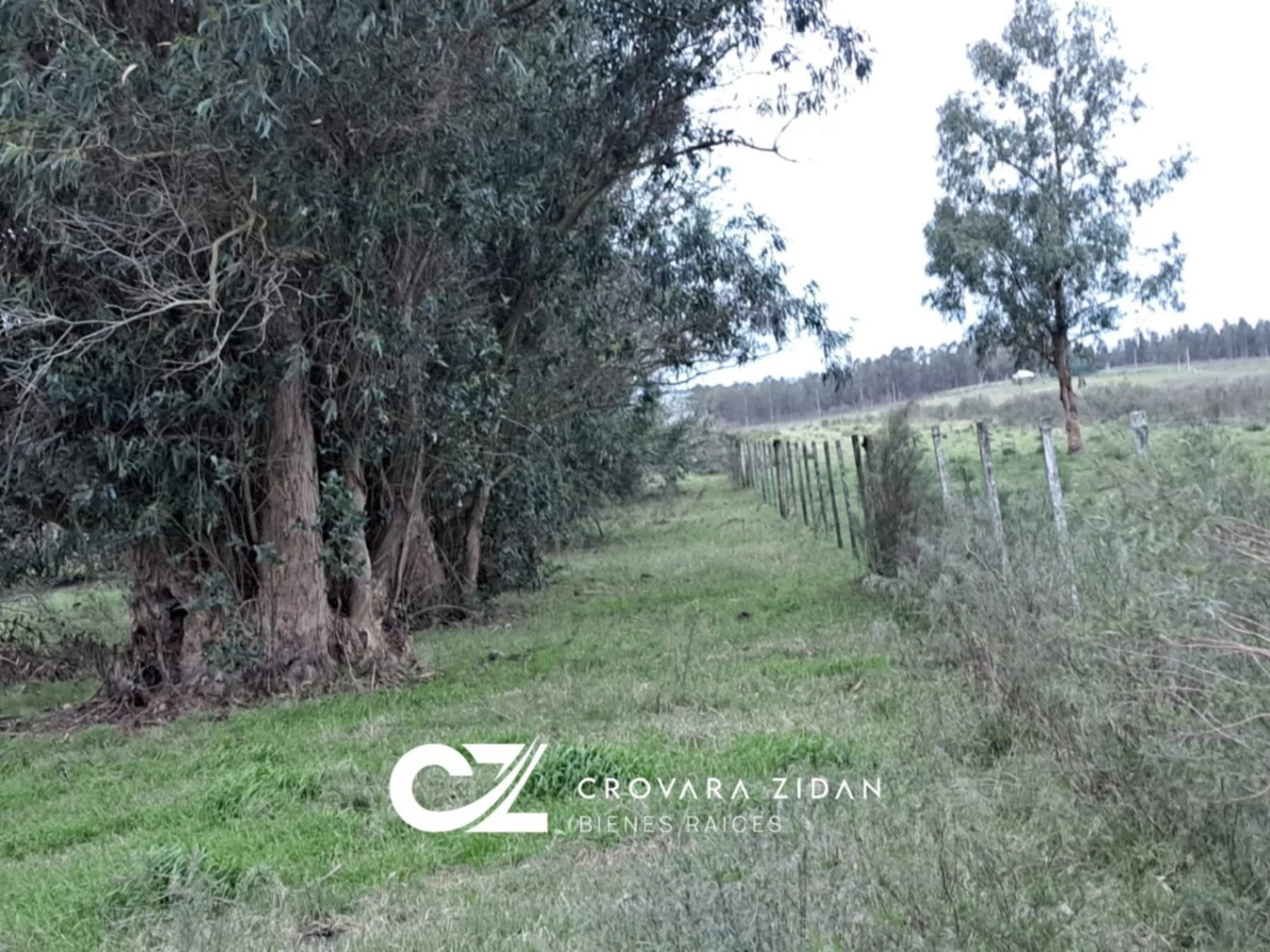 Campo en Migues, propiedad 283380 -Imagen 18