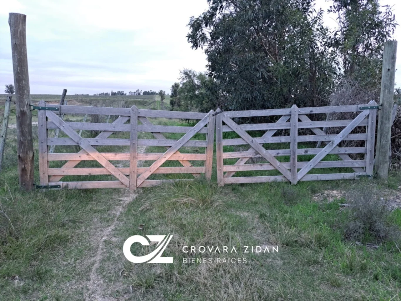 Campo en Migues, propiedad 283380 -Imagen 3