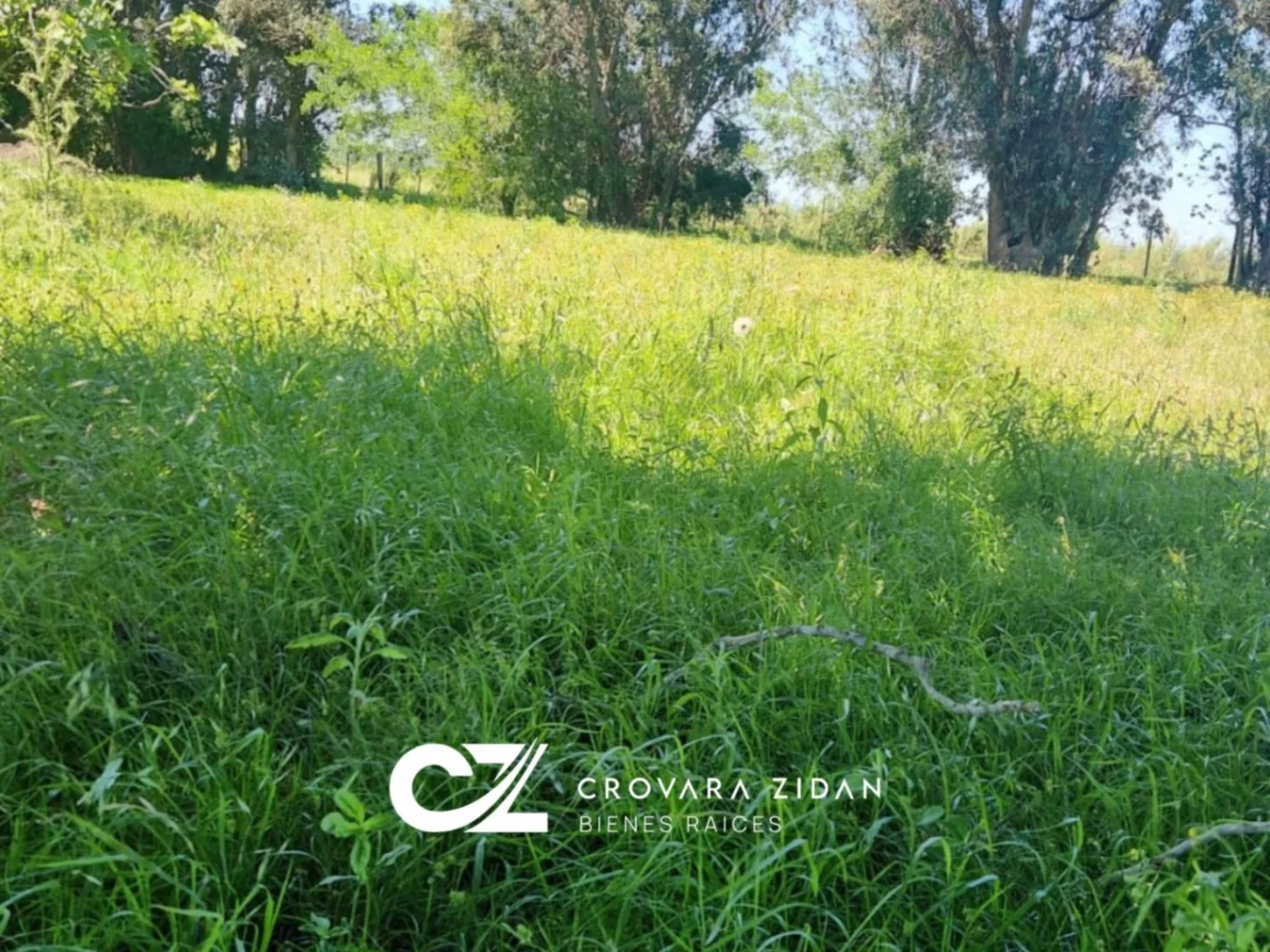 Campo en Migues, propiedad 283380 -Imagen 22