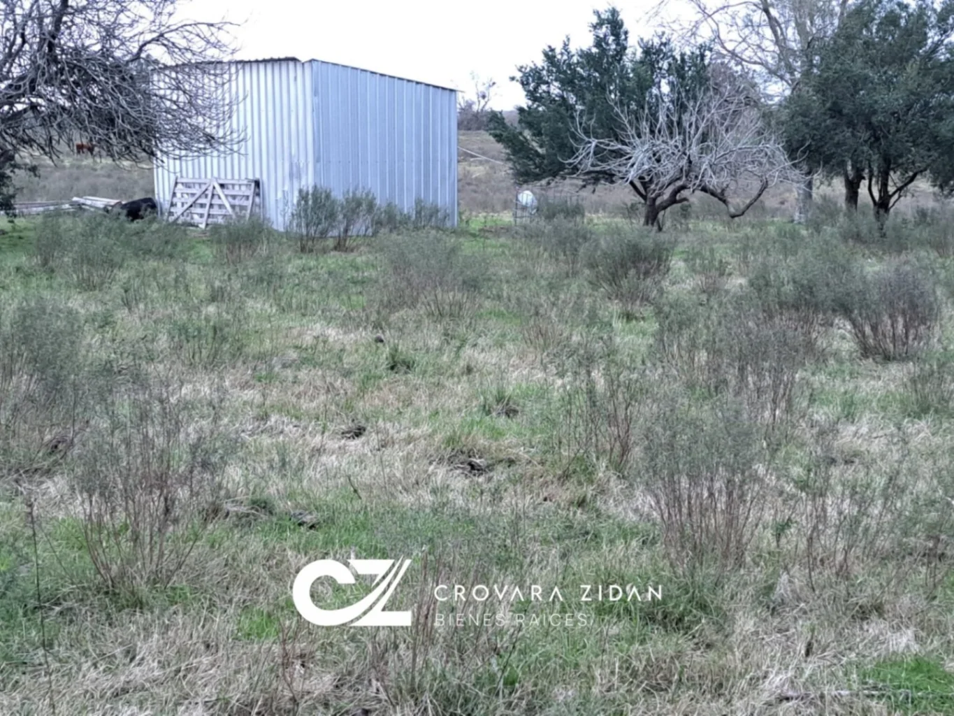 Campo en Migues, propiedad 283380 -Imagen 24