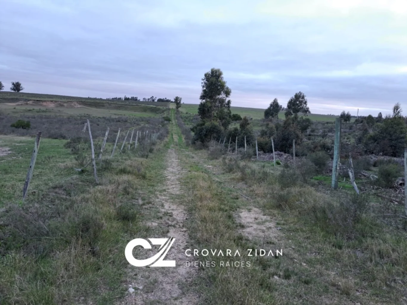 Campo en Migues, propiedad 283380 -Imagen 4