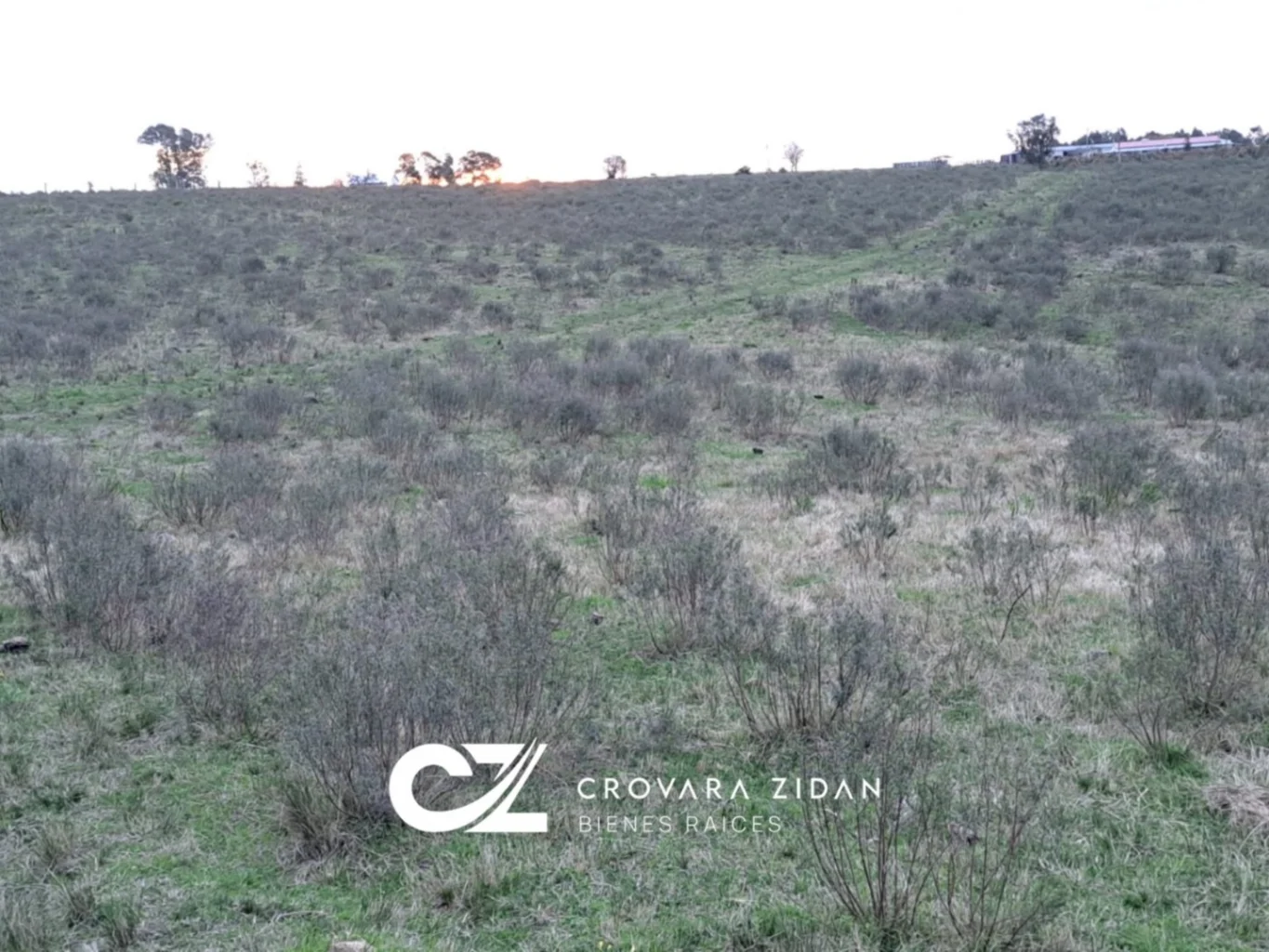 Campo en Migues, propiedad 283380 -Imagen 6