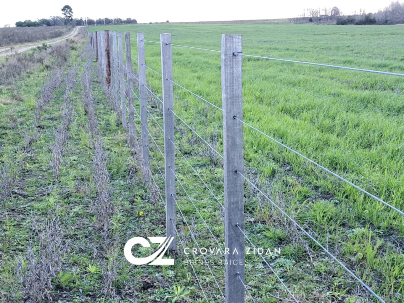 Campo en Migues, propiedad 287040 -Imagen 2